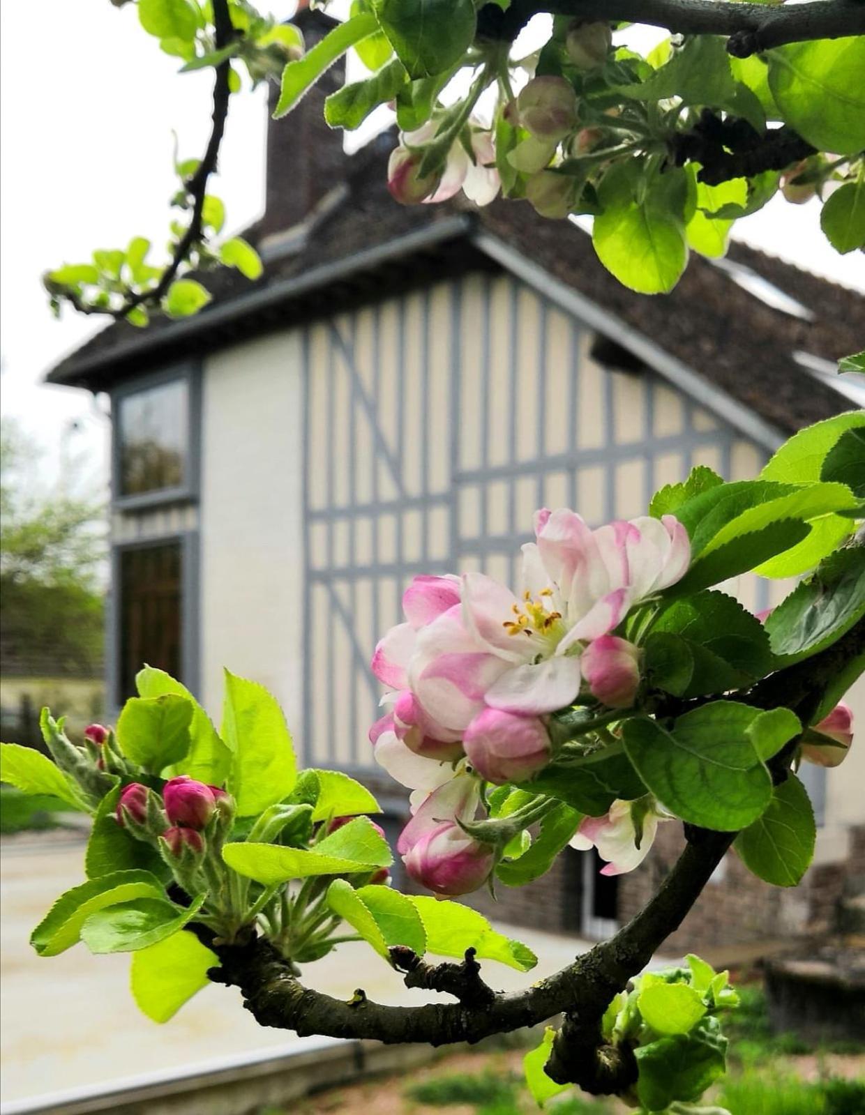 Dosches Sous Les Toits Bed & Breakfast エクステリア 写真